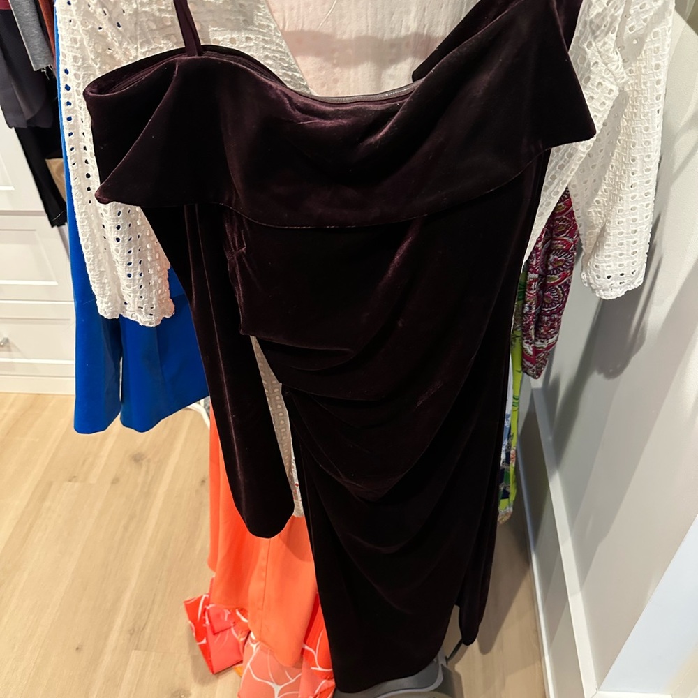 Aqua velvet maroon dress